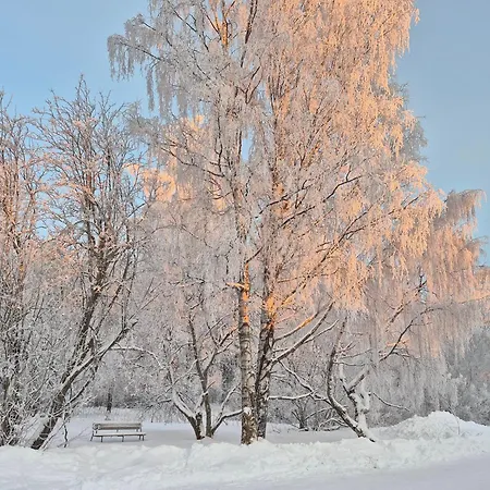 Apartament Tilava Uudistettu Perheasunto